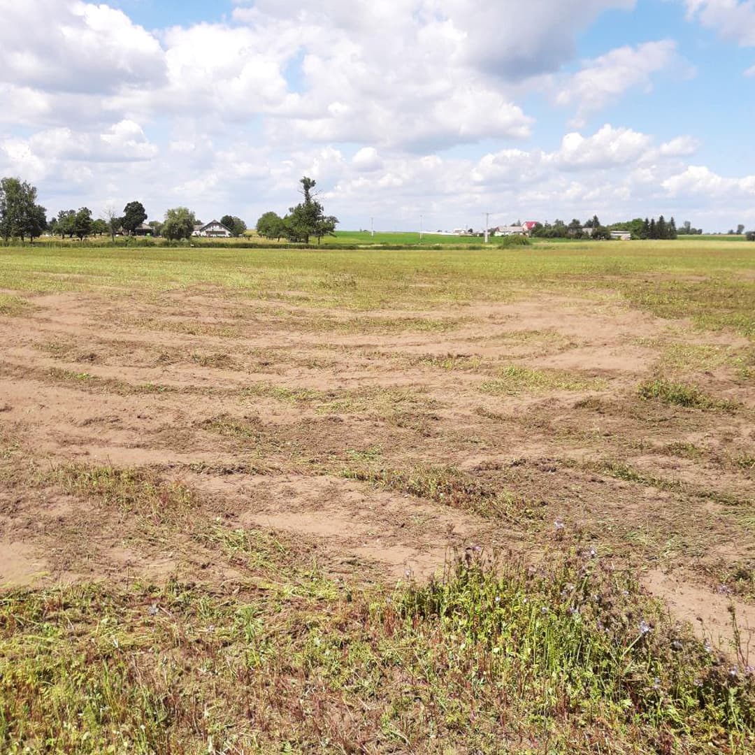 Cover Image for Photovoltaic farm – construction of the installation